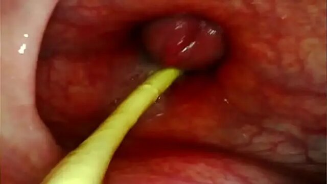 Amateur anal queen takes my fat dick in her tight pussy